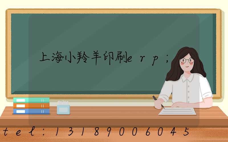 上海小羚羊印刷erp